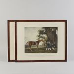 1773&nbsp;5002&nbsp;Grafiska blad